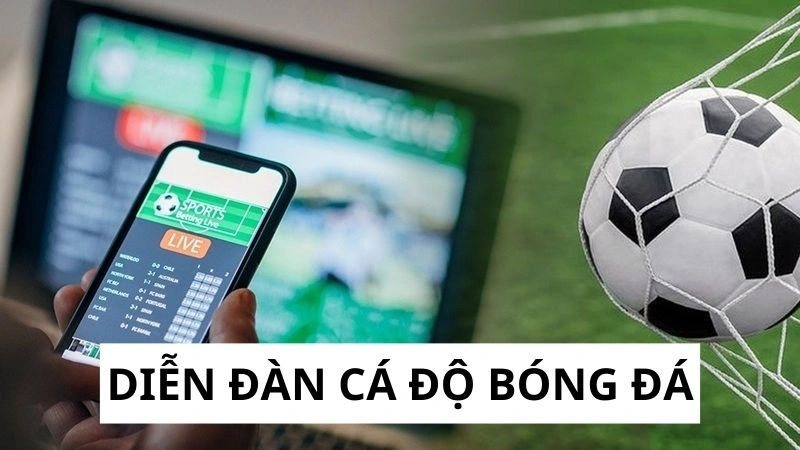 Top 5 diễn đàn cá độ bóng đá Top 5 diễn đàn cá độ bóng đá