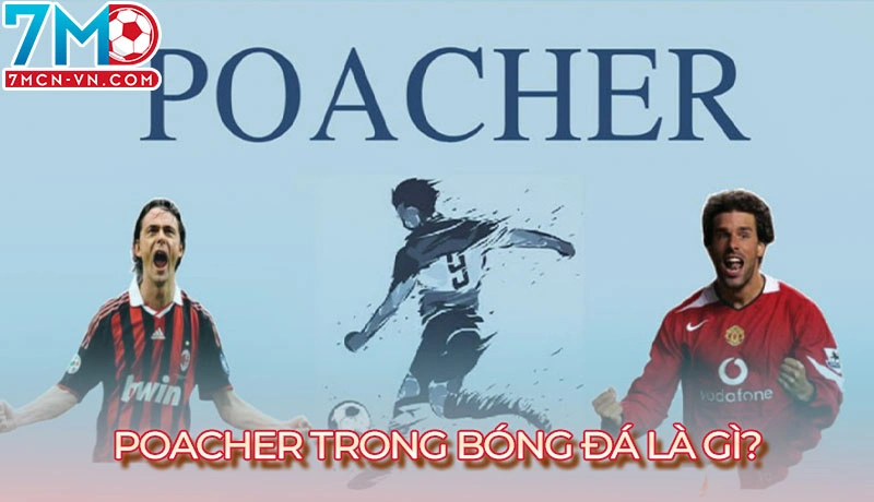 Tìm hiểu thuật ngữ Poacher trong bóng đá là gì Tìm hiểu thuật ngữ Poacher trong bóng đá là gì