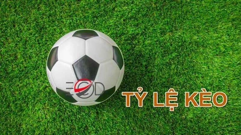 Nắm bắt quy định là yếu tố quan trọng Nắm bắt quy định là yếu tố quan trọng