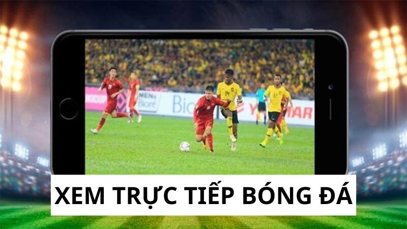Xem trực tiếp bóng đá với giải lớn nhỏ Xem trực tiếp bóng đá với giải lớn nhỏ