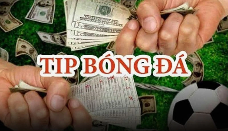 Tip nội gián bóng đá là gì